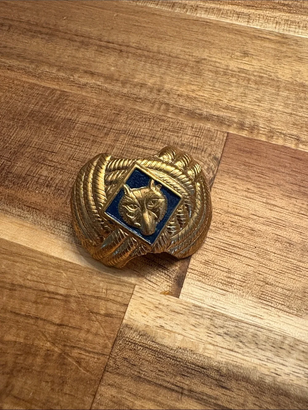 Cub Scout Wolf rank accessory